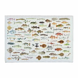 Kúpeľňová podložka s prímesou bavlny Really Nice Things Fish in the Ocean, 40 x 60 cm