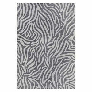 Sivo-béžový vonkajší koberec NORTHRUGS Cebra, 200 x 290 cm