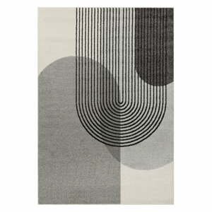 Sivý koberec 290x200 cm Muse - Asiatic Carpets
