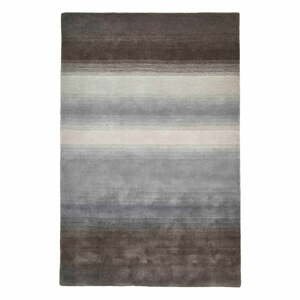 Šedý vlnený koberec 230x150 cm Elements - Think Rugs