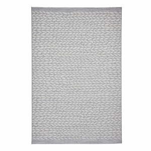 Sivý/béžový vonkajší koberec 220x160 cm Coast - Think Rugs