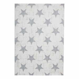 Sivý/béžový vonkajší koberec 230x160 cm Santa Monica - Think Rugs