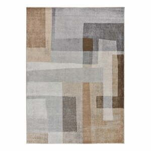 Sivo-béžový koberec 140x200 cm Aydin - Universal