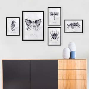 Obrazy v súprave 5 ks 34x44 cm Butterfly - Wallity