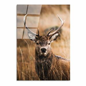 Sklenený obraz 70x100 cm Deer - Wallity