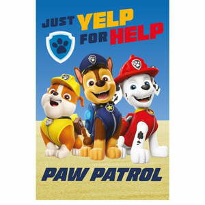 Detská deka z mikroplyšu 100x150 cm Paw Patrol – Jerry Fabrics