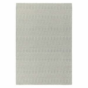 Svetlosivý vlnený koberec 100x150 cm Sloan – Asiatic Carpets