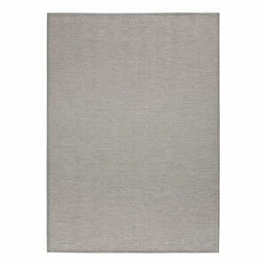 Sivý koberec 60x120 cm Espiga – Universal