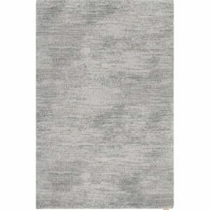 Sivý vlnený koberec 200x300 cm Fam – Agnella