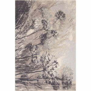 Krémovo-sivý vlnený koberec 160x240 cm Lissey – Agnella