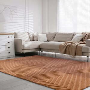 V tehlovej farbe vlnený koberec 120x170 cm Hague – Asiatic Carpets