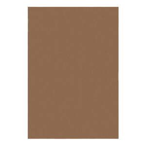 Koňakovohnedý koberec 160x230 cm – Flair Rugs