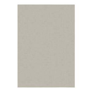 Krémovobiely koberec 140x200 cm – Flair Rugs