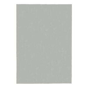 Svetlosivý koberec 160x230 cm – Flair Rugs