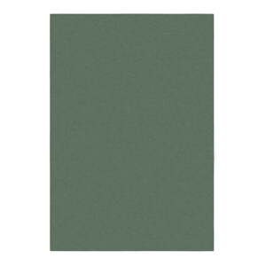 Zelený koberec 80x150 cm – Flair Rugs