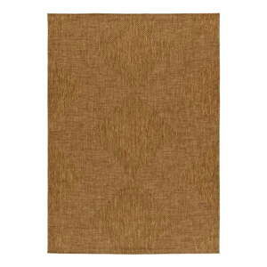 Hnedý vonkajší koberec 80x150 cm Guinea Natural – Universal