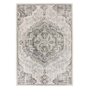 Sivý/krémovobiely koberec 200x290 cm Nova – Asiatic Carpets