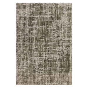 Khaki koberec 160x230 cm Kuza – Asiatic Carpets