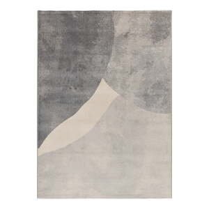 Sivý koberec 160x230 cm Monic – Universal