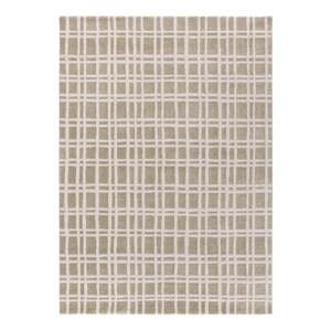 Svetlozelený koberec 120x170 cm Caledonia – Universal
