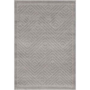 Sivý koberec 160x230 cm Lori – FD