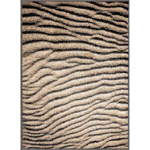 Hnedý koberec 200x280 cm Avanti – FD