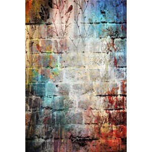Koberec Crazy Wall 80x150 cm viacfarebný