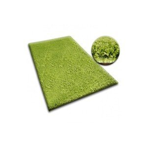 Kusový koberec SHAGGY Izebelie 5 cm zelený