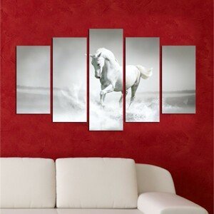 Viacdielny obraz White Horse 110x60 cm
