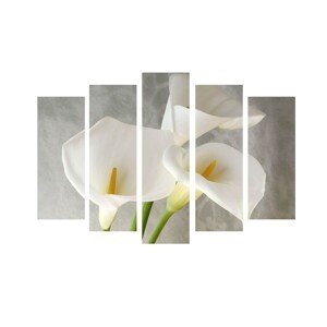 Viacdielny obraz Flowero 105x70 cm sivá/biela