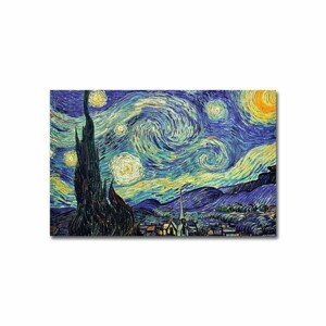 Reprodukcia obrazu Vincent van Gogh 013 45 x 70 cm