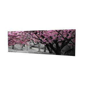 Obraz na plátne Cherry tree alley PC017 30x80 cm
