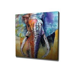 Obraz na plátne Elephant ethno KC306 50x70 cm