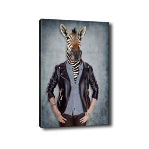 Obraz na plátne Zebra portrait 50x70 cm