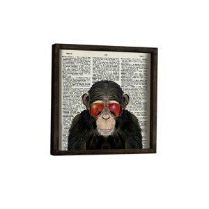 Nástenný obraz Monkey 34x34 cm I