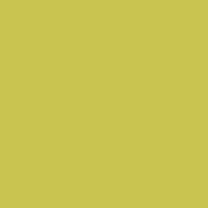 Dlažba Rako Color Two žltozelená 20x20 cm, mat