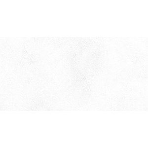 Dlažba Peronda Planet white 30x60 cm mat PLANET36WHSF