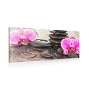 Obraz orchidea a Zen kamene na drevenom podklade