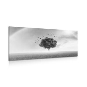 Obraz osamelý strom na lúke v čiernobielom prevedení