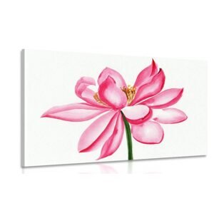 Obraz akvarelový lotosový kvet