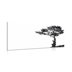 Obraz silueta stromu