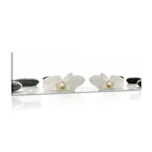 Obraz biele kvety orchidey