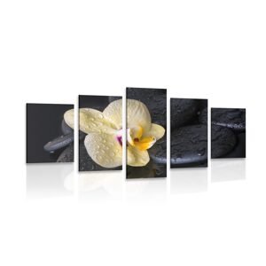 5-dielny obraz Zen kamene so žltou orchideou