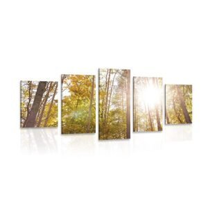 5-dielny obraz les v jesenných farbách