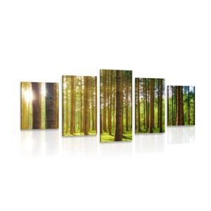 5-dielny obraz ráno v lese