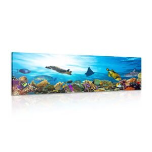 Obraz koralový útes s rybkami a korytnačkami