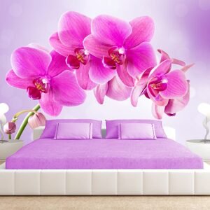 Samolepiaca tapeta ružová orchidea - Thoughtfulness