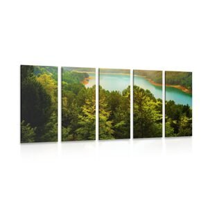 5-dielny obraz rieka uprostred zeleného lesa