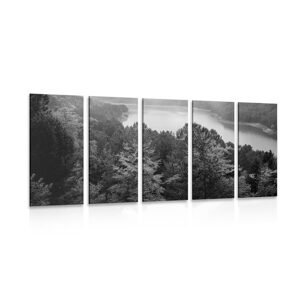 5-dielny obraz rieka uprostred lesa v čiernobielom prevedení