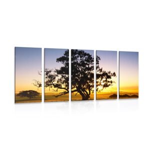 5-dielny obraz osamelý strom pri západe slnka